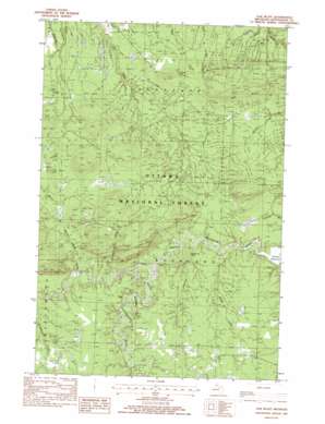 Oak Bluff topo map