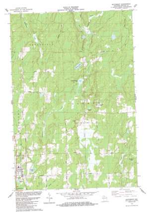 Butternut USGS topographic map 46090a4
