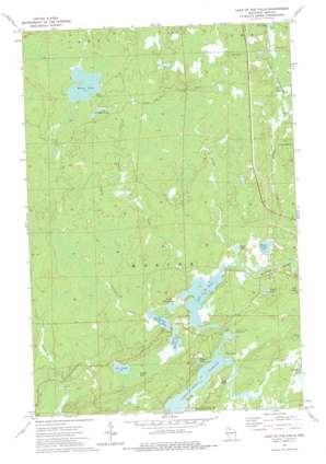 Lake of the Falls USGS topographic map 46090b2