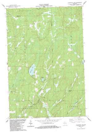 Augustine Lake USGS topographic map 46090b4
