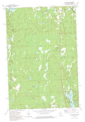 Pine Lake USGS topographic map 46090c2