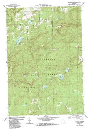 Marengo Lake USGS topographic map 46090c8