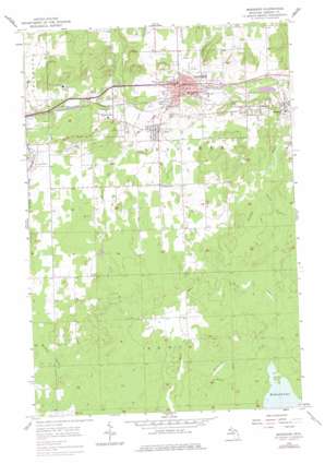 Bessemer USGS topographic map 46090d1