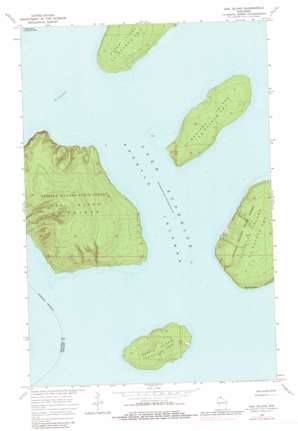 Oak Island topo map