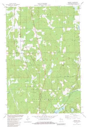 Bennett USGS topographic map 46091d7
