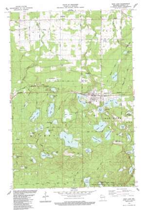 Iron Lake USGS topographic map 46091e4