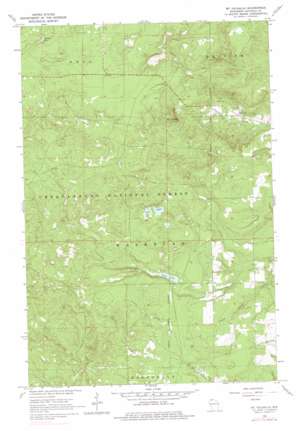 Mount Valhalla USGS topographic map 46091f1