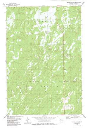 Moose Junction USGS topographic map 46092c2