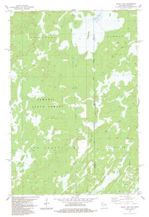 Black Lake USGS topographic map 46092c3
