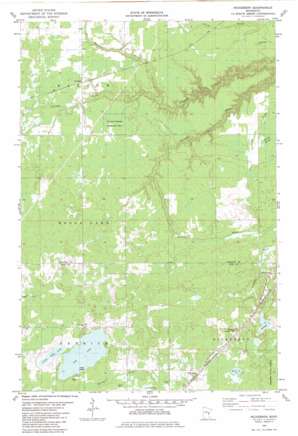 Nickerson USGS topographic map 46092d5