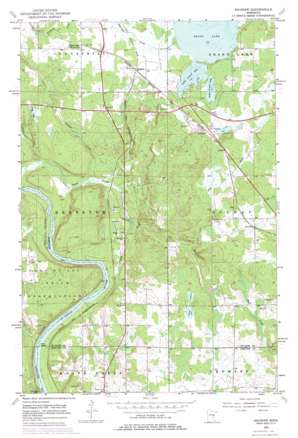 Saginaw USGS topographic map 46092g4