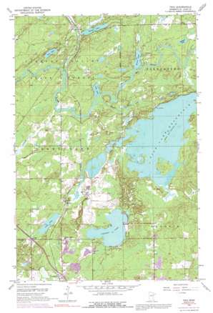 Twig USGS topographic map 46092h3