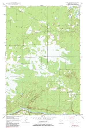 Brookston Nw USGS topographic map 46092h6