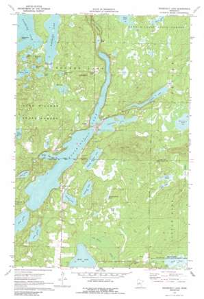 Roosevelt Lake USGS topographic map 46093g8