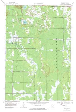 Rabey USGS topographic map 46093h4