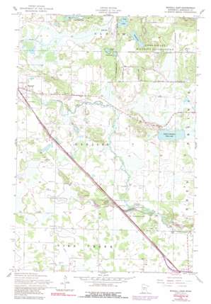 Belle Prairie NW USGS topographic map 46094a4