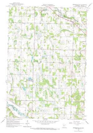 Browerville Sw topo map