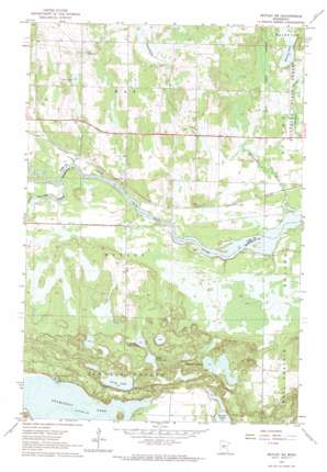 Motley Se USGS topographic map 46094c5