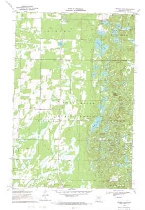 Spider Lake USGS topographic map 46094f6