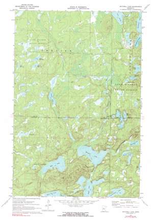 Mitchell Lake USGS topographic map 46094g1