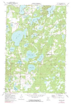 Lake Ada USGS topographic map 46094g3
