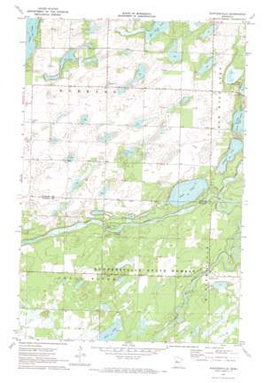 First Crow Wing Lake USGS topographic map 46094g8