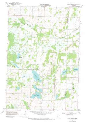 Eagle Bend NW USGS topographic map 46095b2