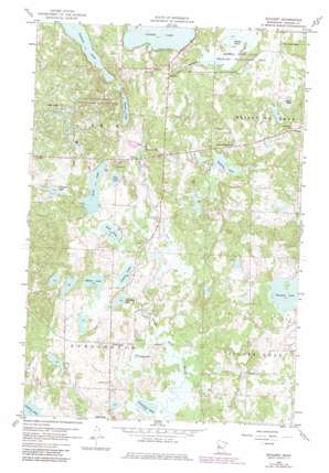 Rochert USGS topographic map 46095g6