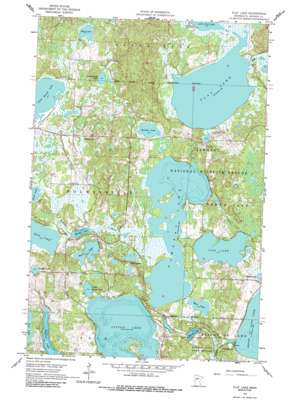 Flat Lake USGS topographic map 46095h6