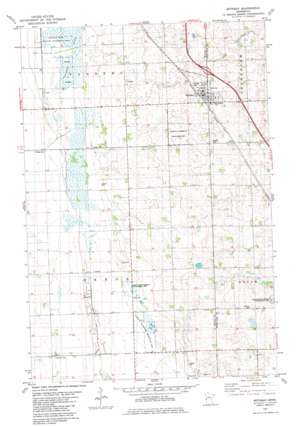 Rothsay USGS topographic map 46096d3