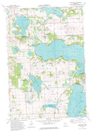 Cormorant USGS topographic map 46096f1