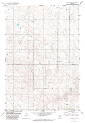 Piney Butte topo map