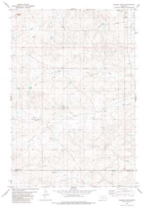 Nelson Butte USGS topographic map 46104b7