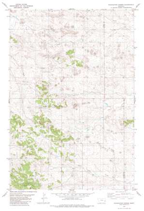 Foundation Spring USGS topographic map 46104c8