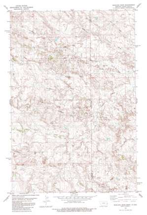 Badland Draw USGS topographic map 46104d1