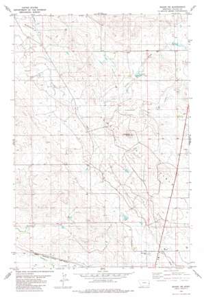 Baker NE USGS topographic map 46104d3