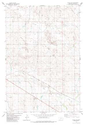 Baker Nw USGS topographic map 46104d4