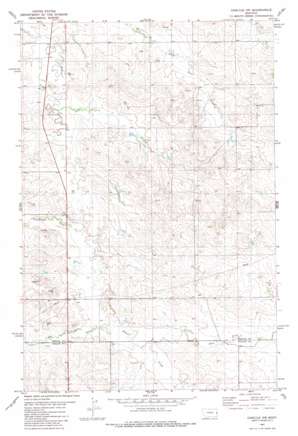 Carlyle Nw topo map