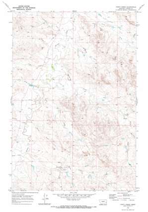 Forty Creek topo map