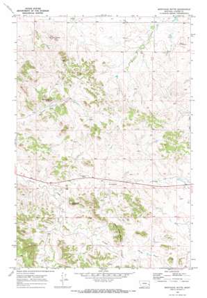 Montague Butte USGS topographic map 46105d1