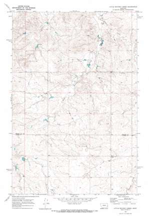 Little Whitney Creek USGS topographic map 46105e1