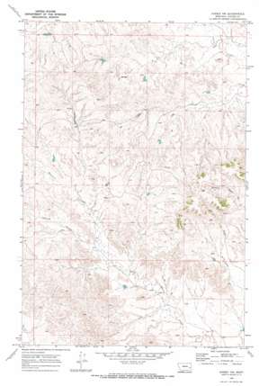 Kinsey Nw topo map