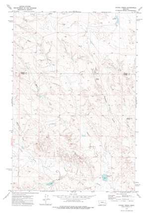 Physic Creek USGS topographic map 46105g6