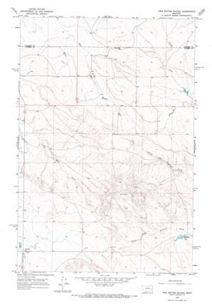 Twin Buttes School USGS topographic map 46105g8