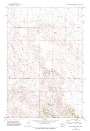 Hendrickson Coulee USGS topographic map 46105h2