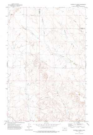 Diamond G Creek USGS topographic map 46105h3