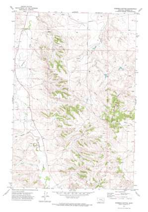 Rosebud Buttes USGS topographic map 46106b4