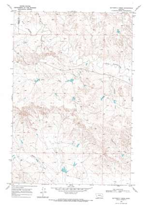 Butterfly Creek USGS topographic map 46106d1