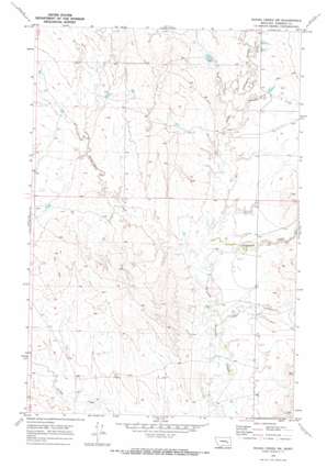 Rough Creek SW USGS topographic map 46106e6