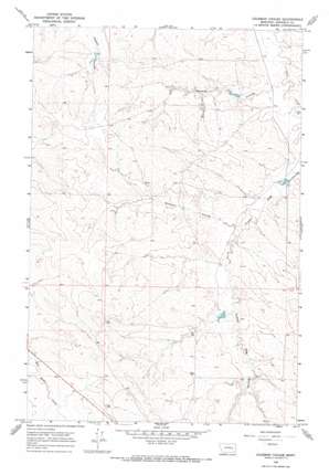 Coleman Coulee USGS topographic map 46106h3